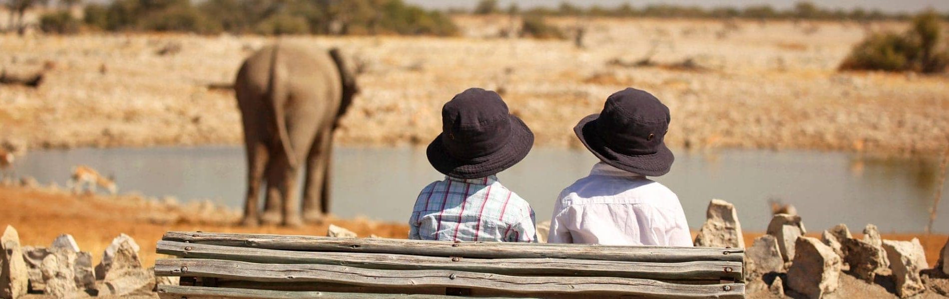 Family Safaris
